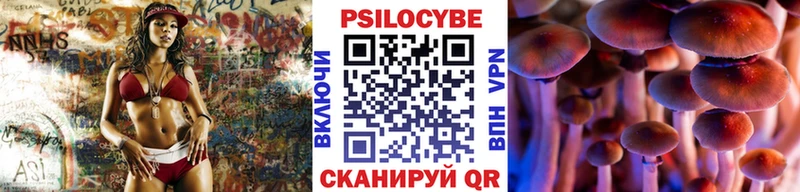 Псилоцибиновые грибы мицелий  где купить   darknet официальный сайт  Салават 
