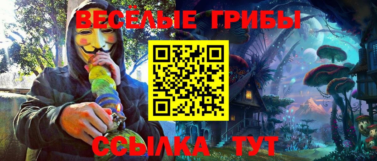 Псилоцибиновые грибы мухоморы Салават